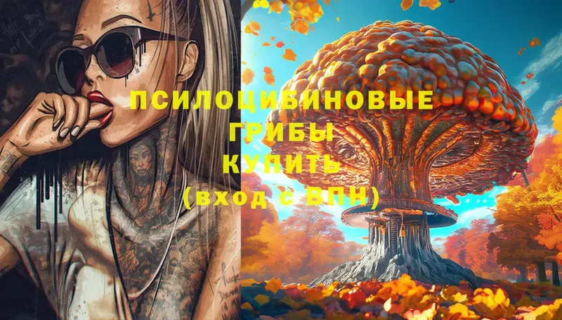 где купить наркоту  Тавда  shop какой сайт  Галлюциногенные грибы Psilocybe  kraken tor 